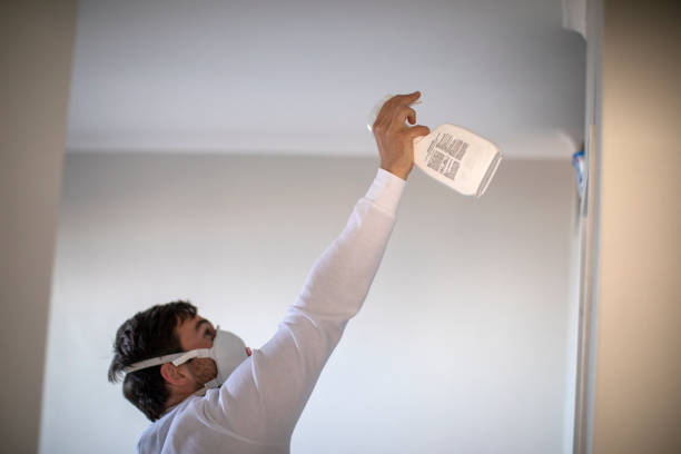 Best Residential Mold Removal  in Muttontown, NY