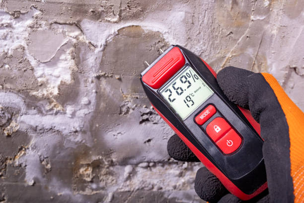 Best Mold Remediation  in Muttontown, NY