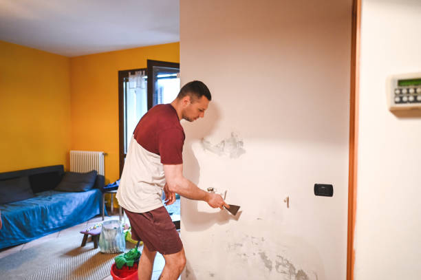 Best Affordable Mold Removal  in Muttontown, NY