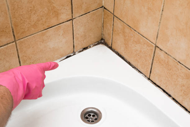 Best Emergency Mold Removal  in Muttontown, NY